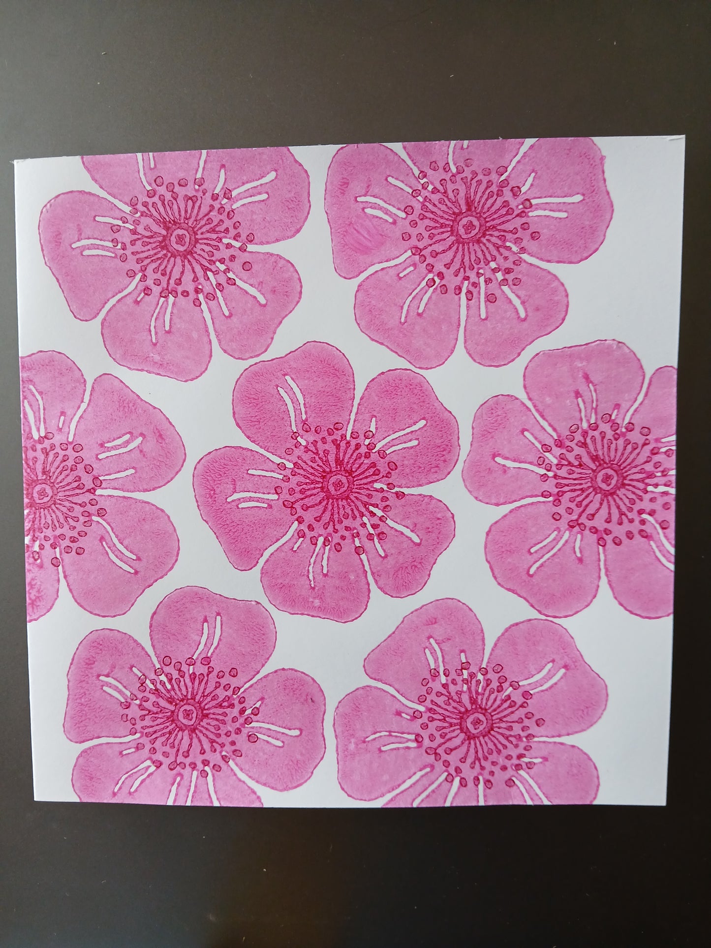 Dog Roses in Pink & Raspberry on white card